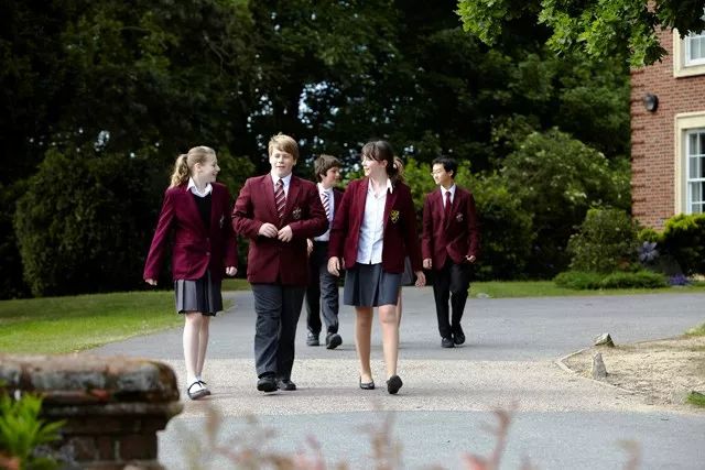 浼︽暒鐨囧澶у瀛﹂櫌浠嬬粛,浼︽暒鐨囧澶у