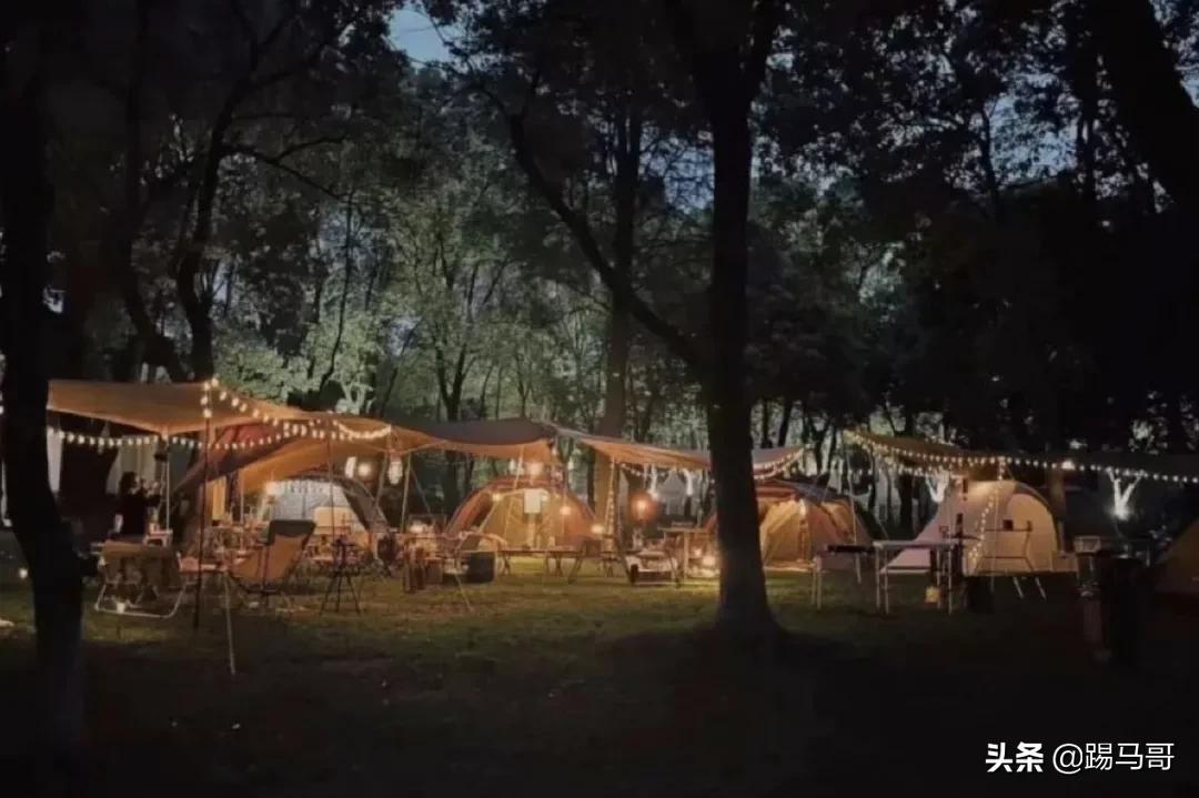 上海附近有哪些露营地可以看星星,上海周边免费露营地推荐人多