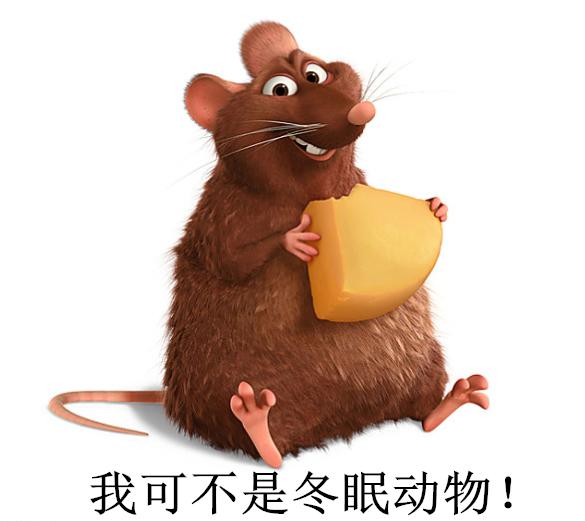 被老鼠尿液污染的食物还能吃吗,老鼠会不会用尿做标记