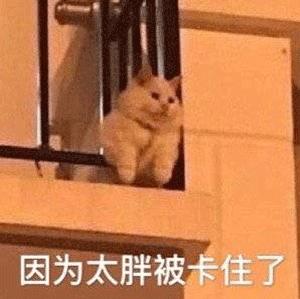 价值上万的手表被偷抓人了判几年,骗子卖手表被抓