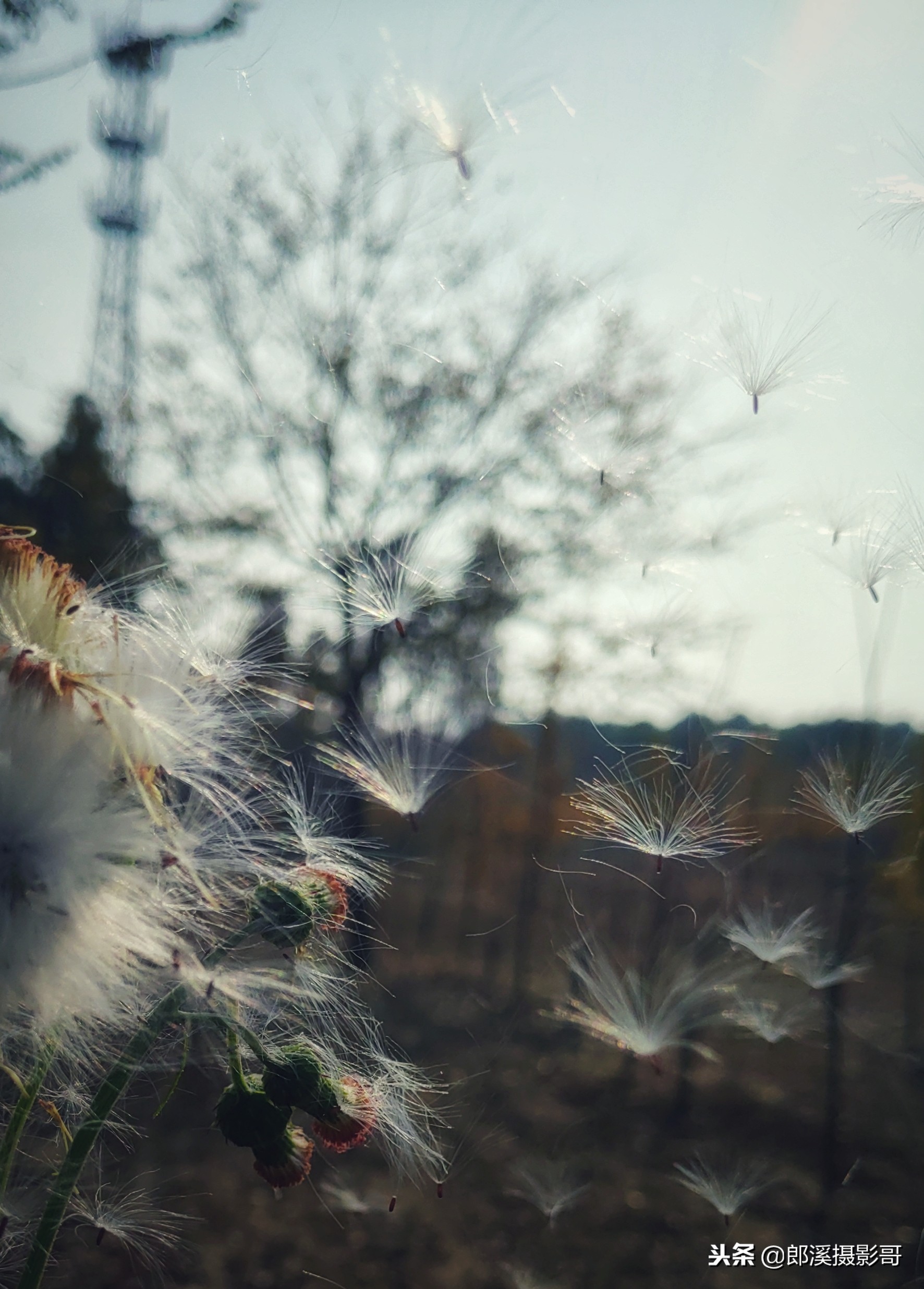 手机照相删除的视频怎么恢复,废旧手机里面的照片怎么处理