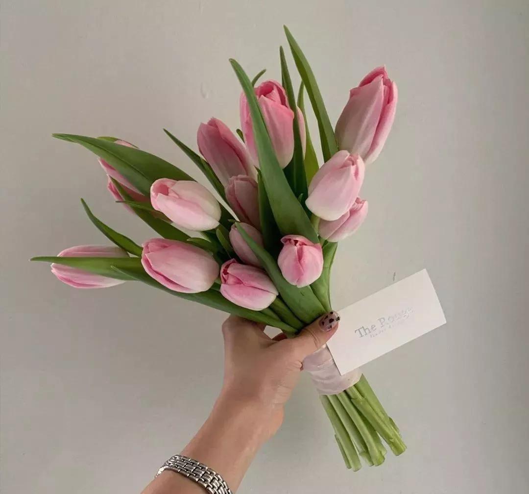 花材正确处理方式及日常养护,花材换水