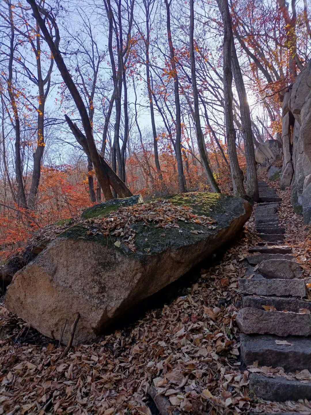 抚顺猴石国家森林公园,辽宁猴石国家森林公园在哪里