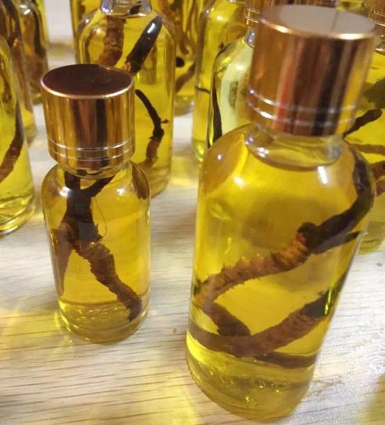 对于野生动物你有哪些了解,冬虫夏草对于女人的好处和坏处