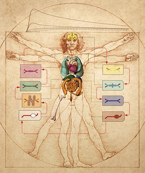 芯片上造器官,芯片人体植入技术解析