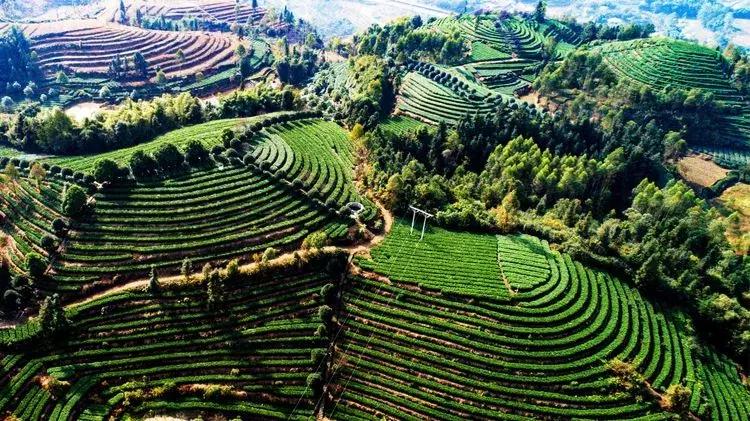 犍为美丽的风景,大犍为的风景就是漂亮