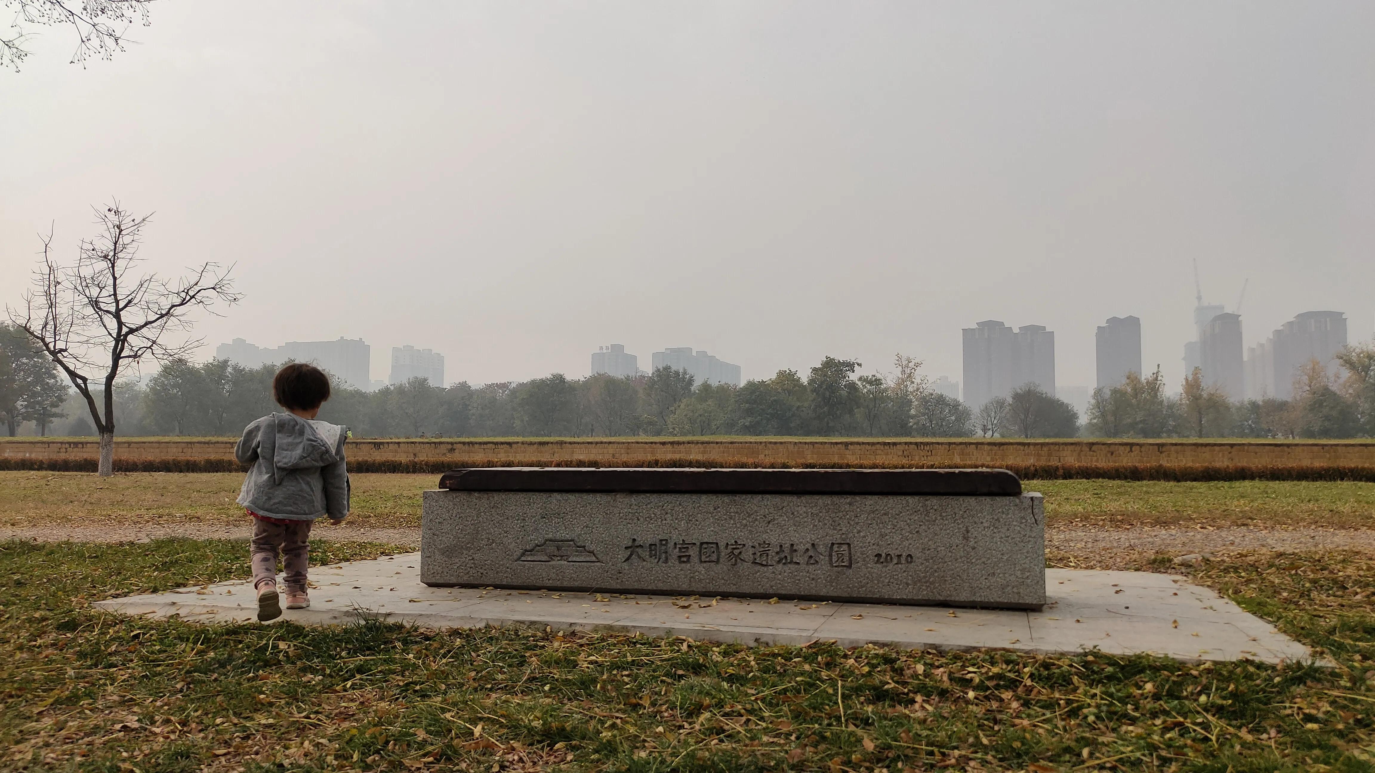 探寻西安大明宫国家遗址公园攻略,西安的大明宫遗址公园