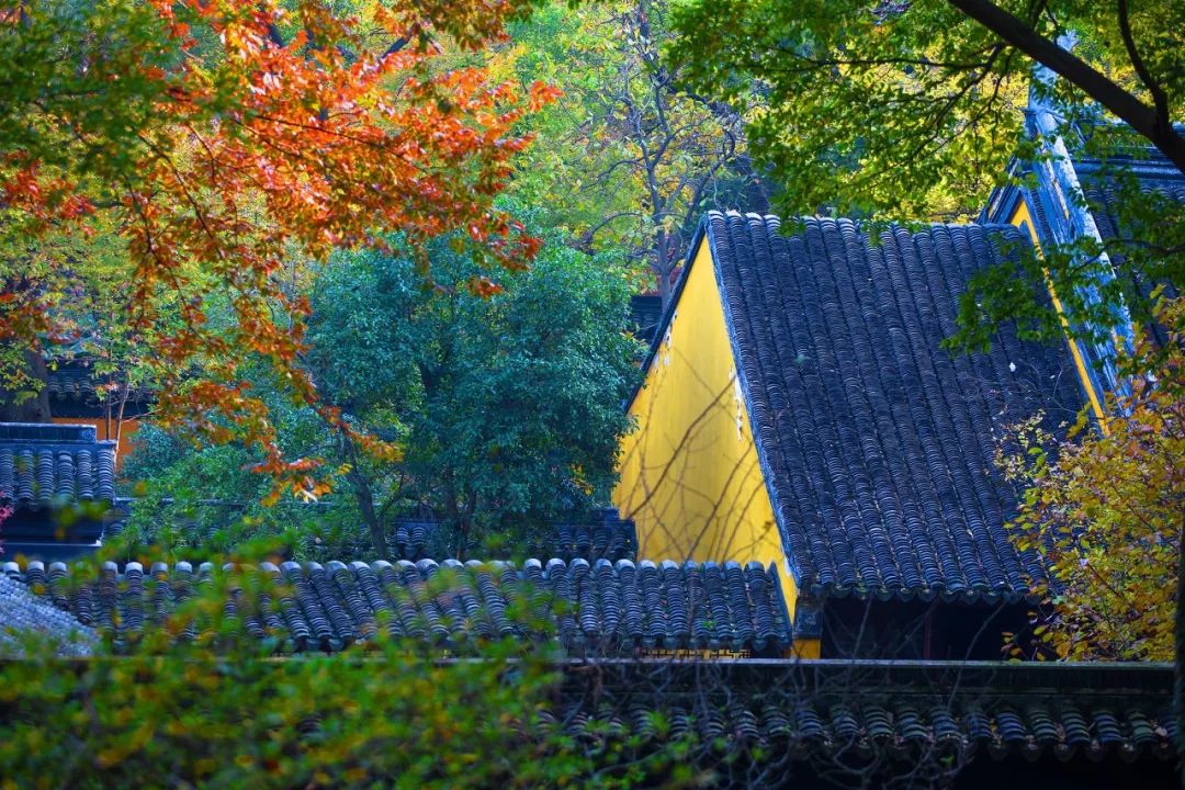 一入秋苏州成姑苏,秋色一入秋苏州就成了姑苏