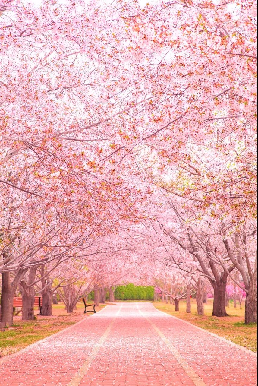 三亚和厦门哪个更值得去玩,三亚和厦门哪个更值得去游玩