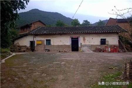 户主去世宅基地怎么过户,宅基地户主去世不及时过户会怎样