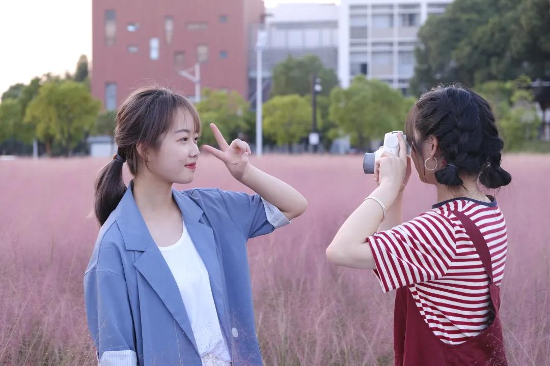 金的功用,金的功能主治