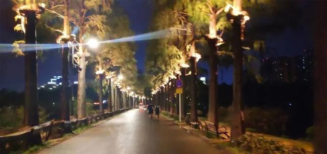 武汉一跑者夜跑重度中暑致脑水肿医生：会留后遗症