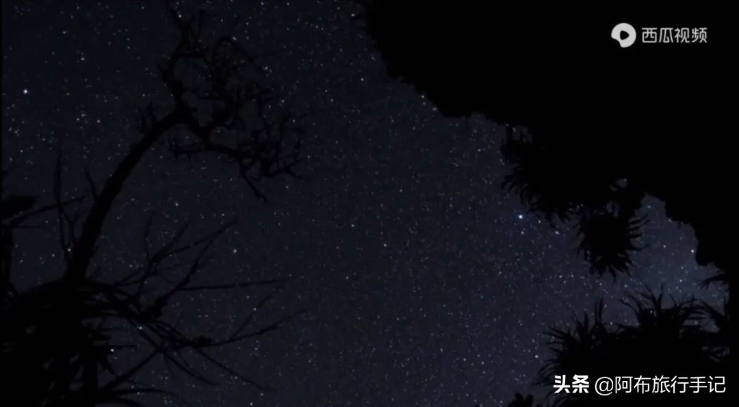 豆瓣9.1分看哭百万人,豆瓣评分9.0却很少有人看懂