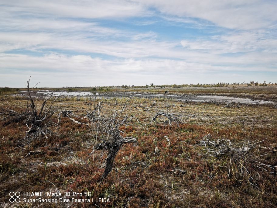东道海子沙漠风景区,探秘东道海子