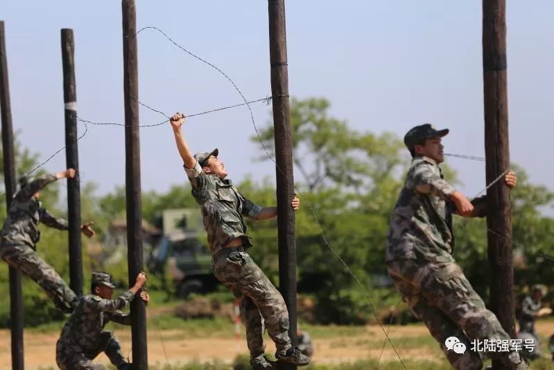 我是*用军**帐篷佩奇！一起来认识我的家族成员吧！