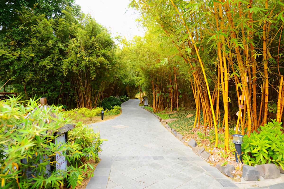 泡火山温泉，是一种怎样的感受，去清远森波拉约泡