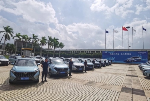 候鸟回归接订单,候鸟返岛