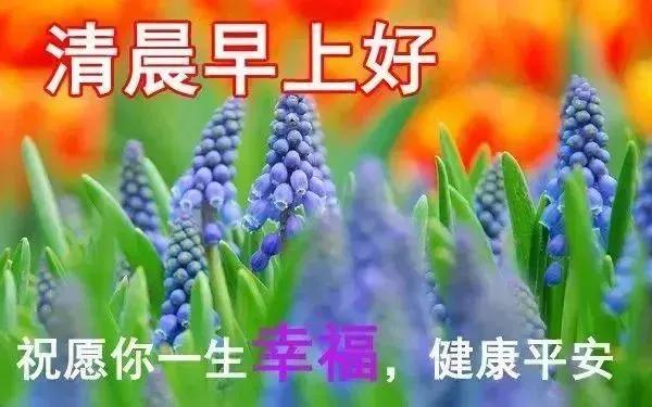 活着就是胜利挣钱只是戏,挣钱只是游戏活着才是胜利