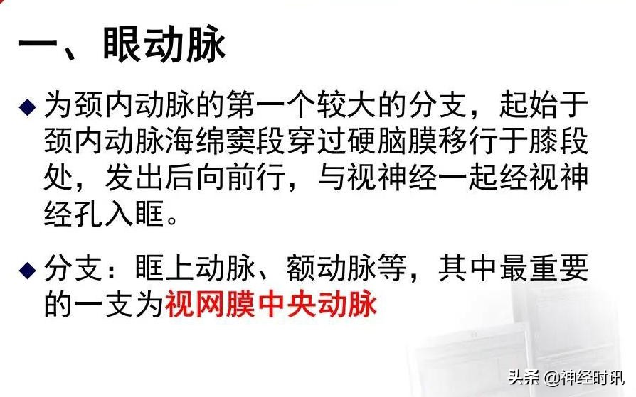 脑动脉解剖学讲解,脑膜中动脉解剖讲解