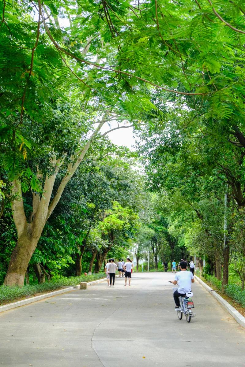 重庆轻轨10号线,10号线有什么玩的