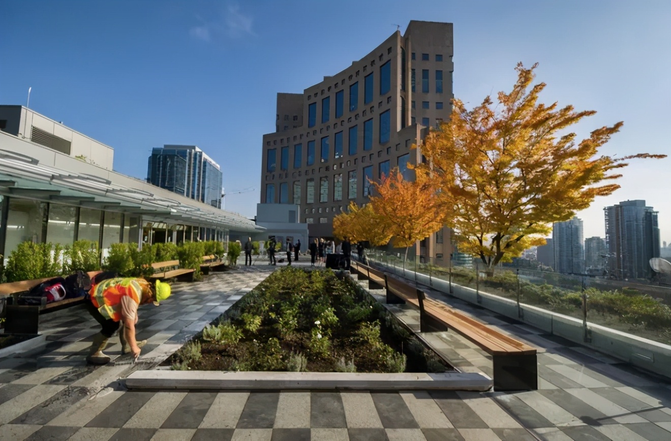 又一巨星陨落享年94岁,又一代巨星的陨落