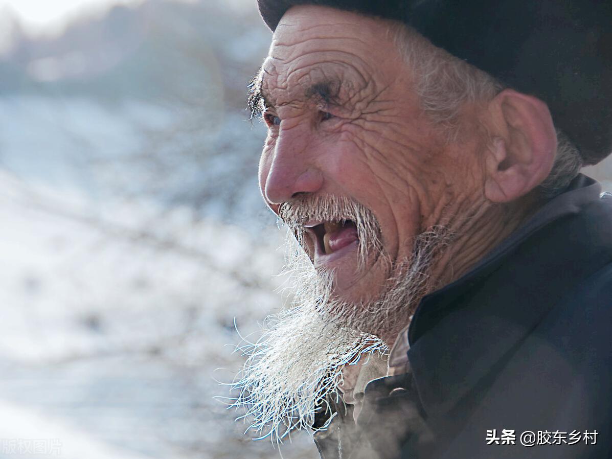 喜鹊唱山歌预兆,腊八遇冬至喜鹊唱山歌