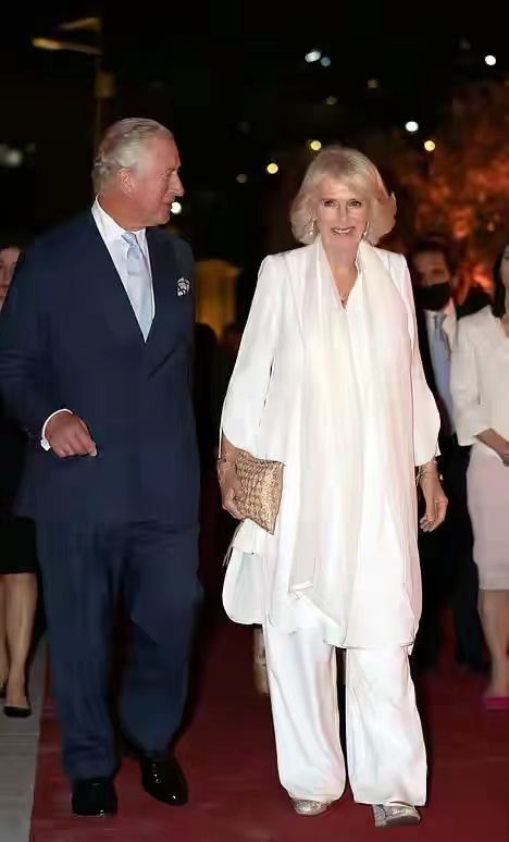 卡米拉 约旦王后 屈膝礼 (卡米拉向约旦王后行屈膝礼)