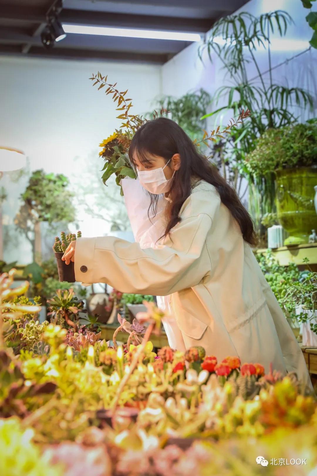 北京最大的露天花卉,北京最大的花卉大观园