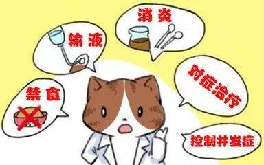 胡吃海喝一时爽别让胰腺炎悔终生,胡吃海喝吃进icu警惕急性胰腺炎