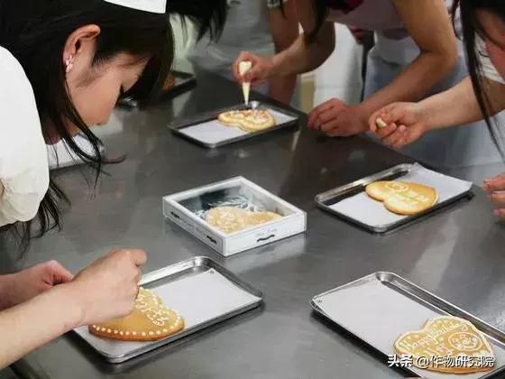 日式网红薄饼干,日本饼干伴手礼