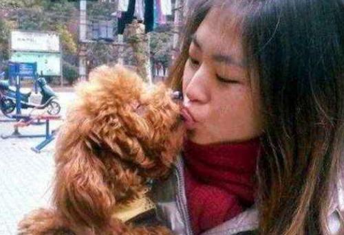 狗狗总是想舔人是什么意思,狗狗生理期肿大很厉害并且经常舔