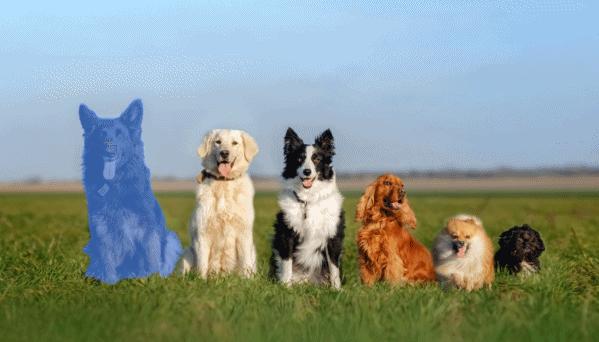 ps重磅更新,ps又出新科技了