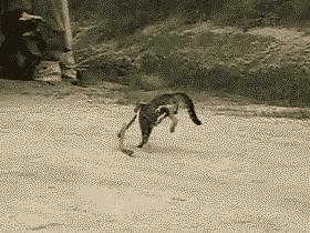 特别吓人的幼儿园,幼儿园里的神秘怪物