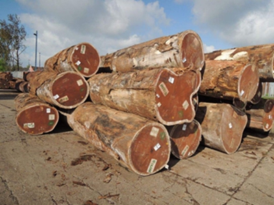 澶╂牸鍦版澘琛ㄩ噷濡備竴浠嬬粛,澶╂牸鍦版澘琛ㄩ噷濡備竴闈㈤潰淇卞埌