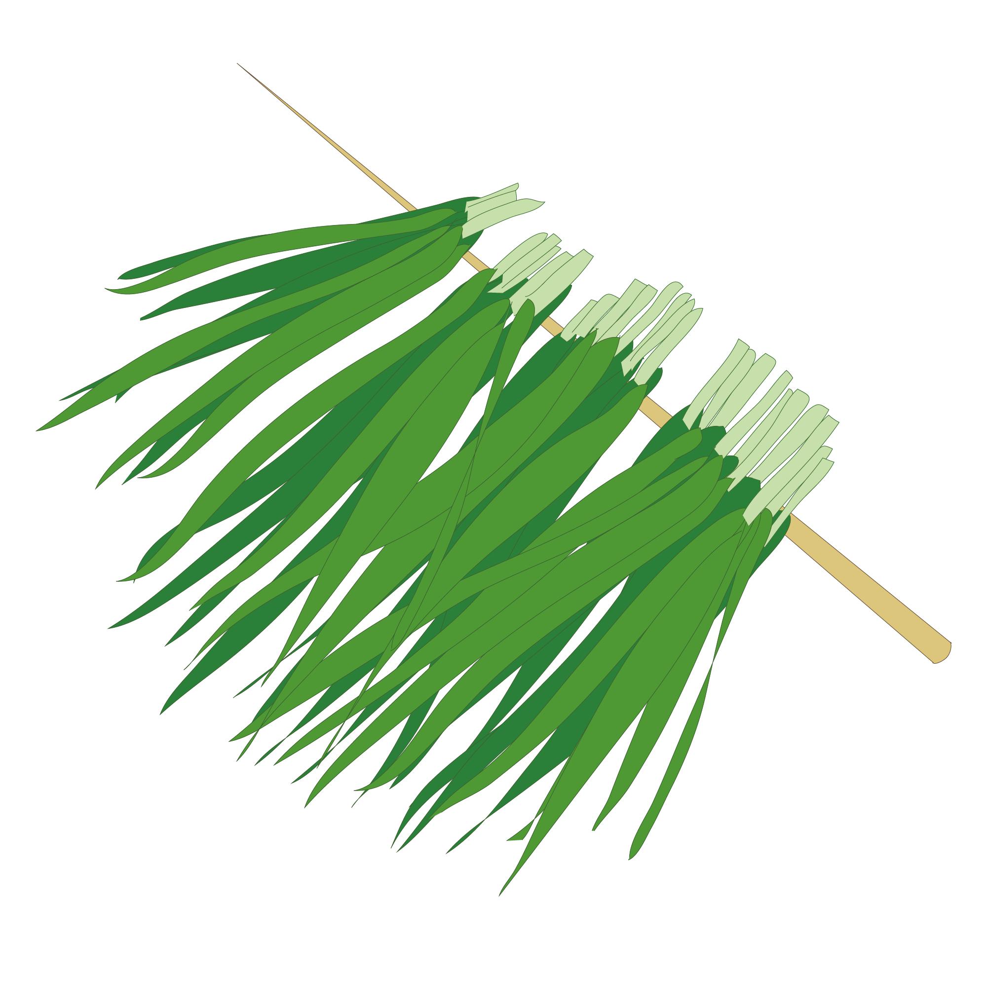 生蚝跟韭菜哪个补肾,男人吃生蚝和韭菜有什么作用