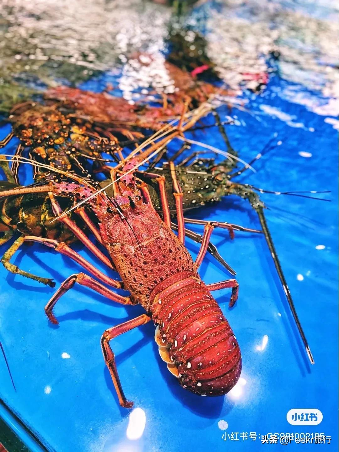 与越南隔河相望,与越南接壤城市旅游