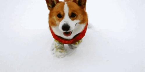 擦亮眼睛!美国大学排名害人不浅,被排名“埋没”的名校有哪些?