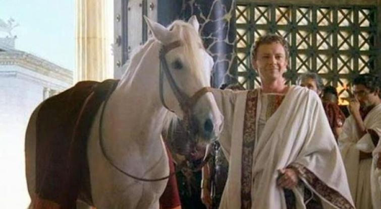 科普冷历史！灯泡不是爱迪生发明的，马都能成为古罗马参议员