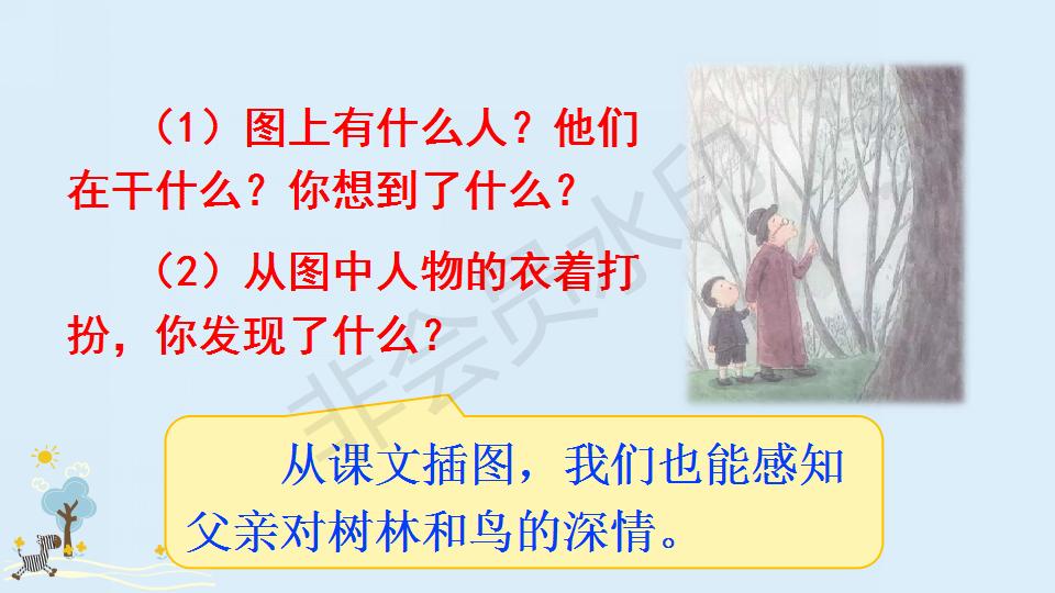 部编版父亲和鸟课件,父亲树林和鸟ppt教材解析