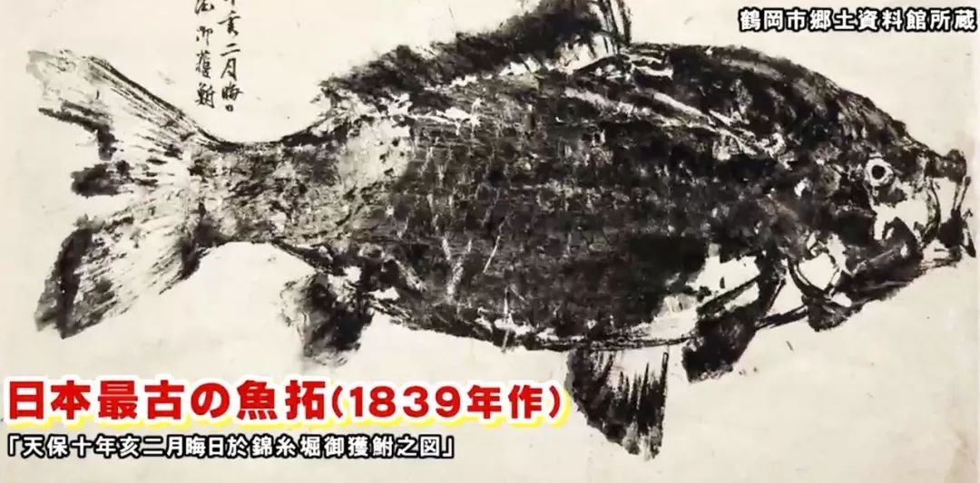 鱼拓技艺,非遗鱼拓技艺