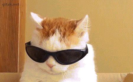 春季穿衣指南大全,春季时尚女人穿搭