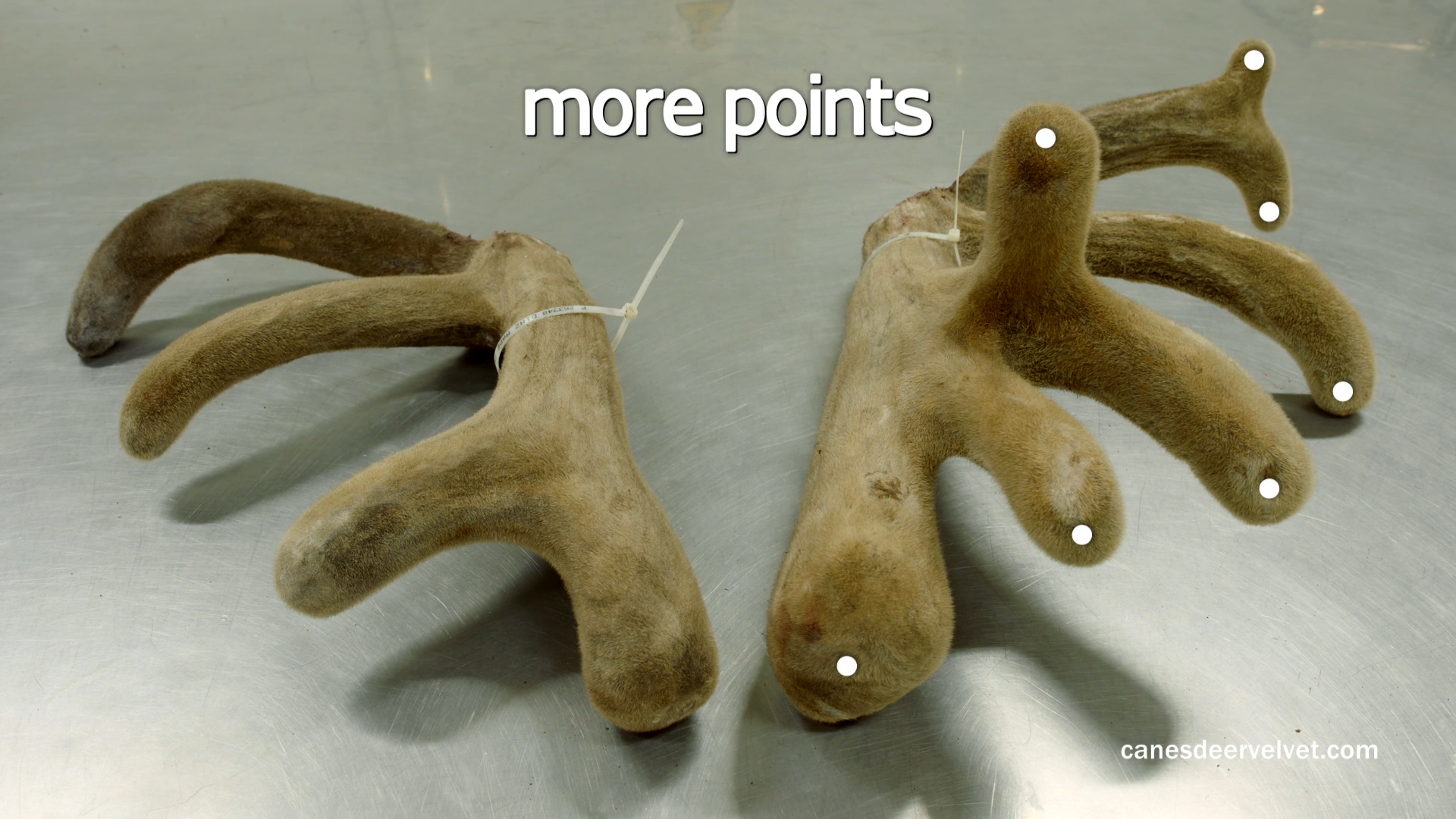 手术之后，新西兰CANES鹿茸胶囊帮你快速康复