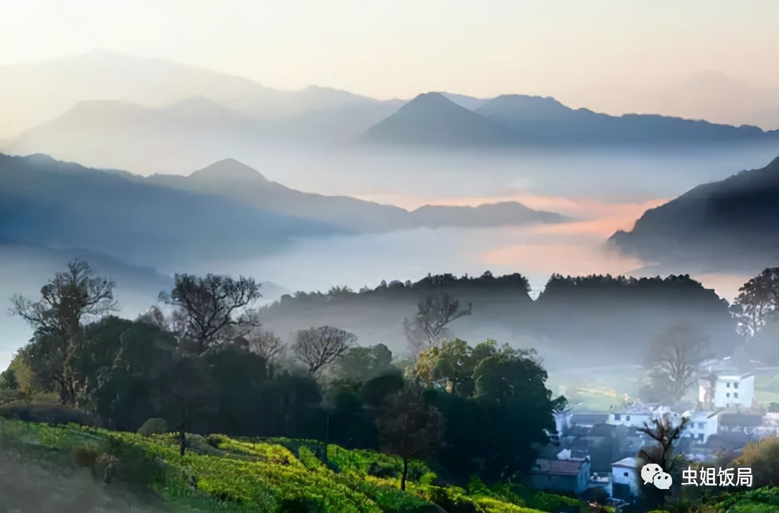 婺源人游玩,婺源本地人眼里婺源的游玩攻略