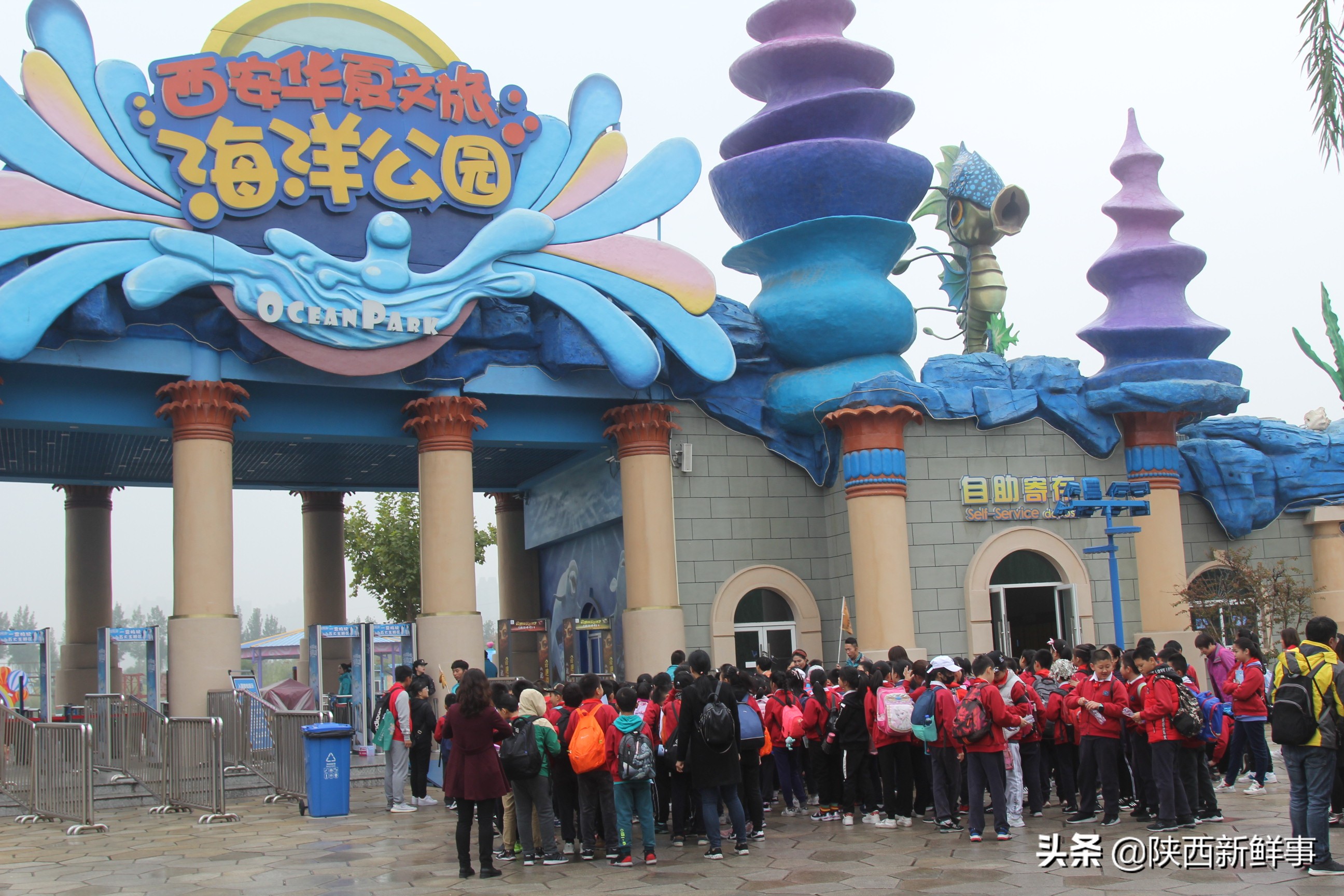 放飞海洋梦想感受丝绸传奇观后感,放飞海洋梦想感受丝路传奇研学题