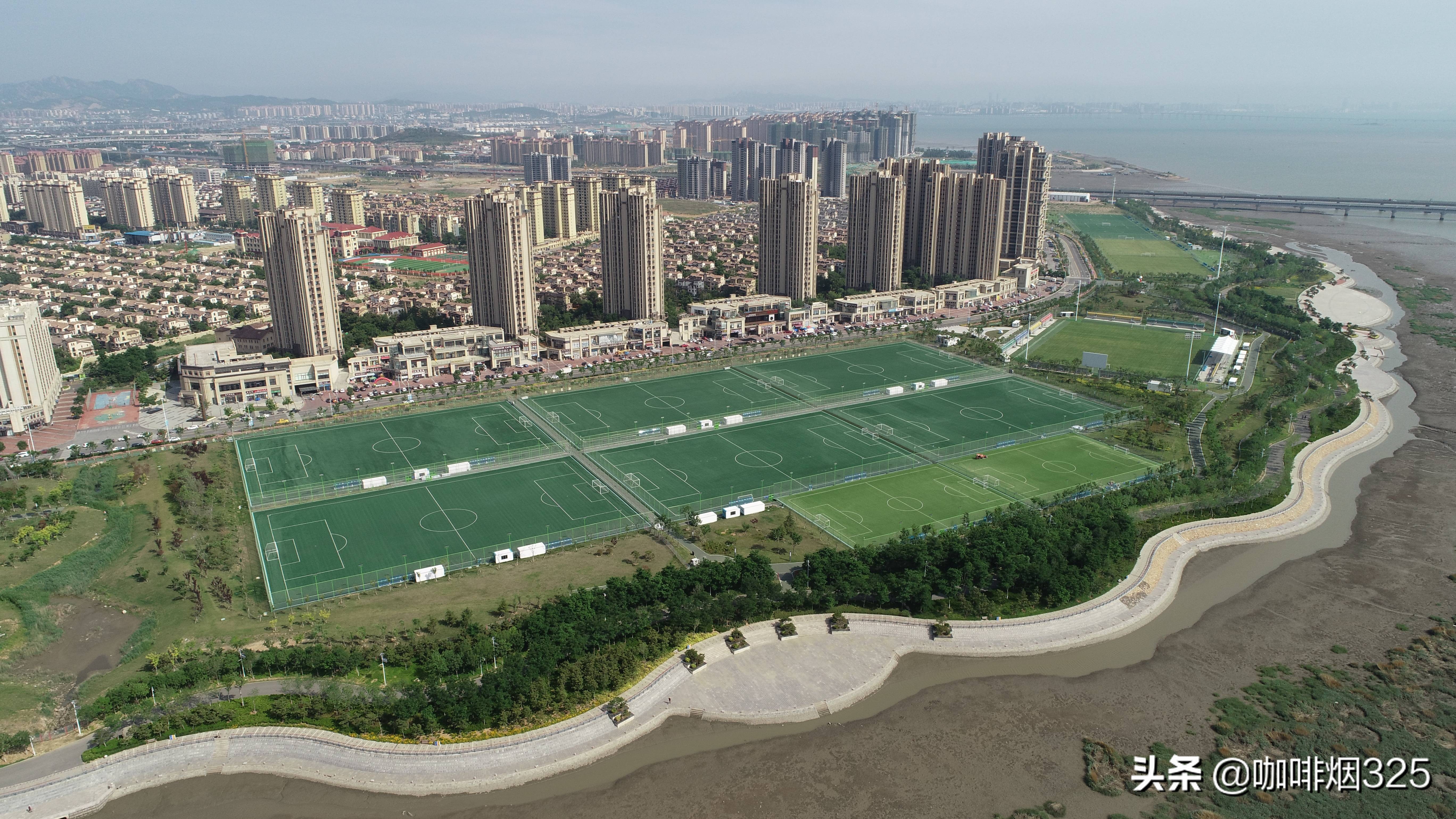 补种草坪草籽种植,补种草坪