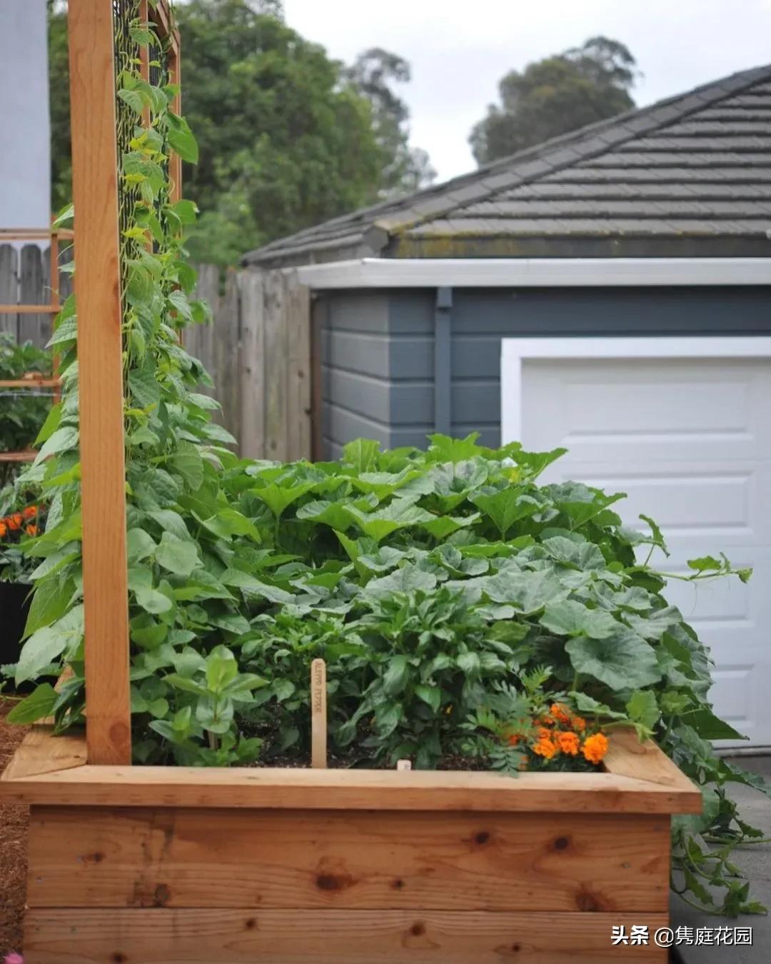 丰富又有趣的花园,花园是最能带给你身心愉悦的地方