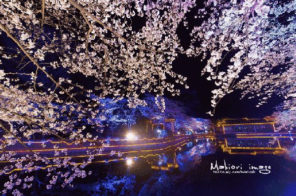 乐山大佛为何不属于石窟,乐山不止有大佛还有美食