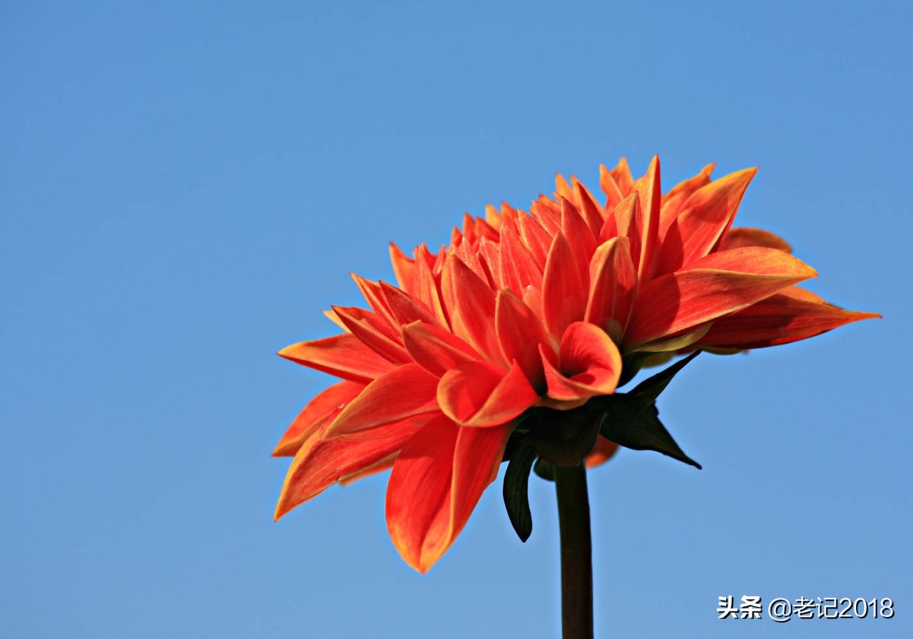 古人写最美情书,用古人的方式写情书