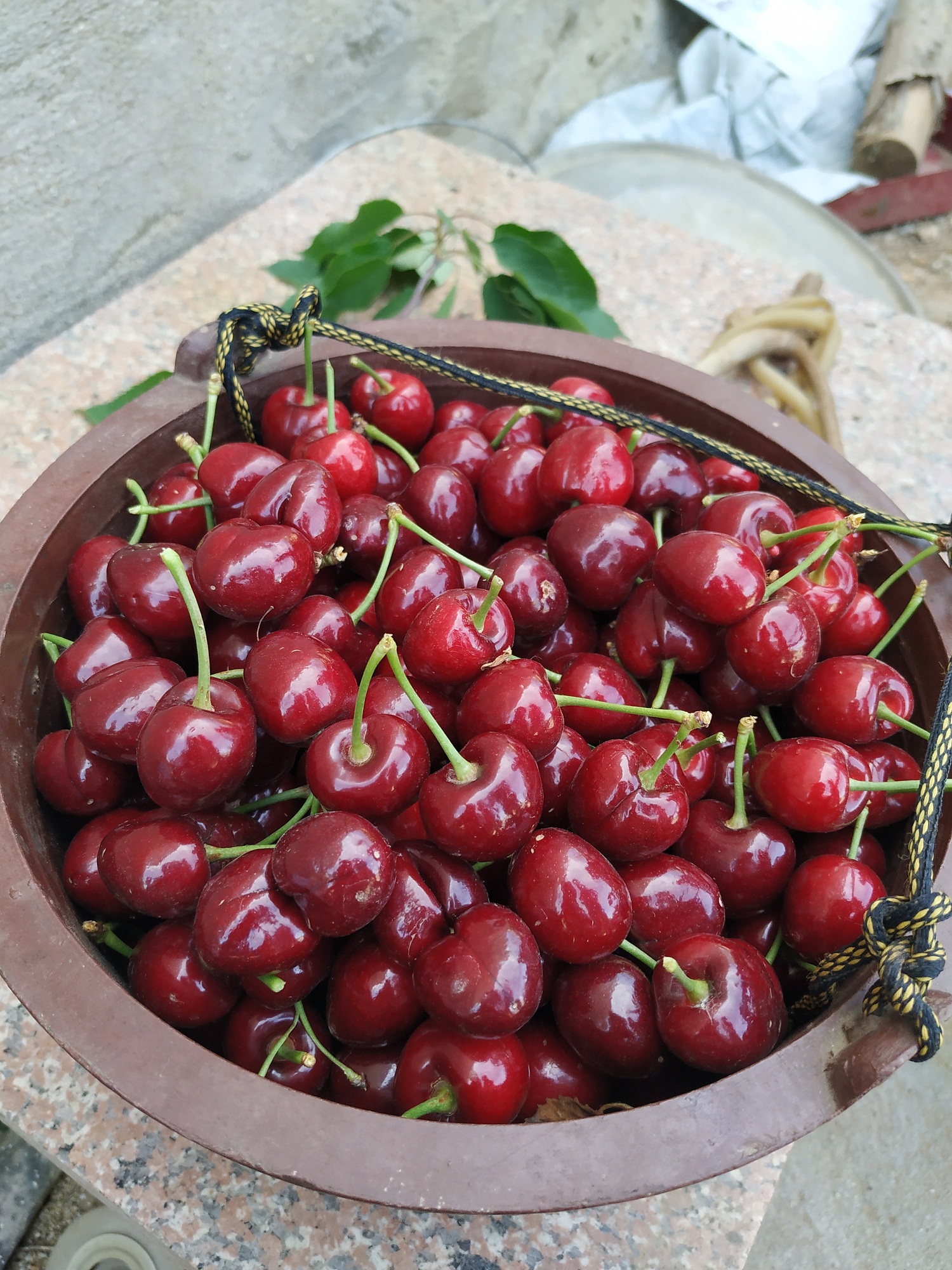 樱桃花期遇高温有什么影响,樱桃硬核期高温有什么影响