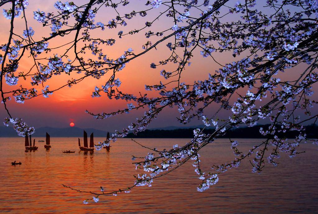 苏州西山景点门票一览表,苏州最值得打卡的小众地方